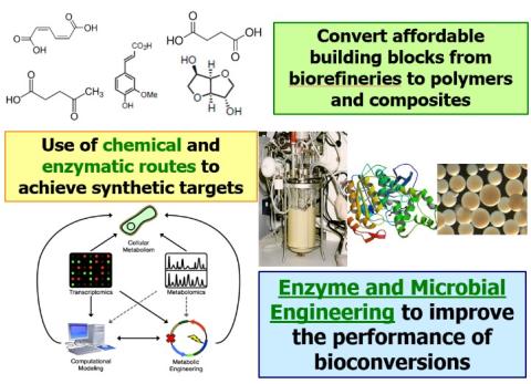 Green Chemistry and Sustainability diagrams and illustrations