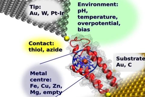 Biophysics, Biochemistry and Chemical Biology diagram