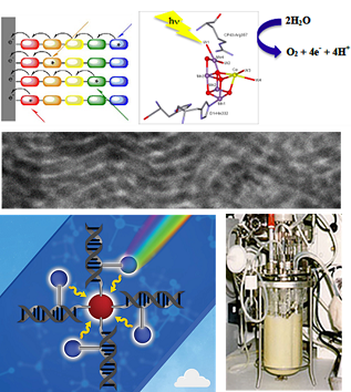 Polymers, Materials and Energy diagrams, illustrations and facilities